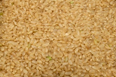 【特別感謝セール・特大値引き・令和4年度産米】 つがるロマン 玄米 10kg 自然農法 (青森県 小田農園) 産地直送