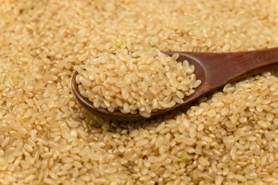 【特別感謝セール・特大値引き・令和4年度産米】 つがるロマン 玄米 10kg 自然農法 (青森県 小田農園) 産地直送