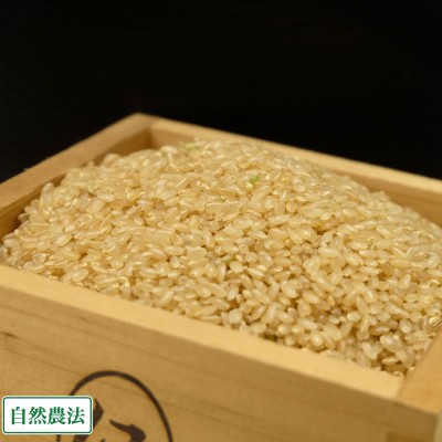 【令和5年度産米】 つがるロマン 玄米 30kg 自然農法 (青森県 小田農園) 産地直送