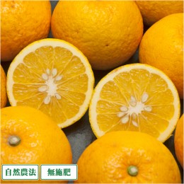 無農薬・自然農法・有機農産物などの産直通販 ふるさと21 / ふるさと21