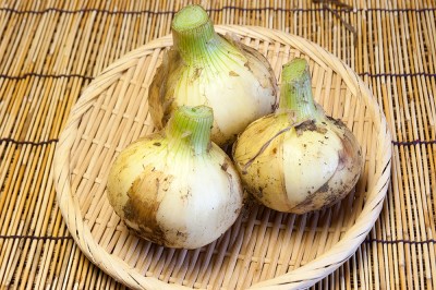 【小玉】有機 新玉ねぎ 4kg 有機JAS (長崎県 百笑会プラス) 産地直送