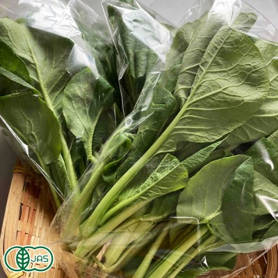 有機 小松菜 1.5kg(150g×10袋) 有機JAS (青森県 自然食ねっと青森) 産地直送