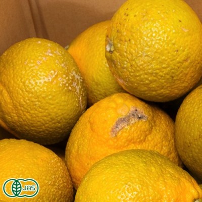 【B品・セール】有機スイートスプリング 3kg 有機JAS (佐賀県 佐藤農場株式会社) 産地直送