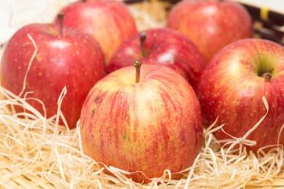 【訳あり・小玉】 サンふじ 4～5kg 特別栽培 (青森県 田村りんご農園) 産地直送