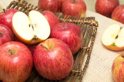 【訳あり・小玉】 サンふじ 4～5kg 特別栽培 (青森県 田村りんご農園) 産地直送