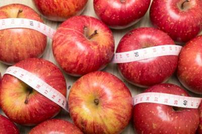 【訳あり・小玉】 サンふじ 4～5kg 特別栽培 (青森県 田村りんご農園) 産地直送