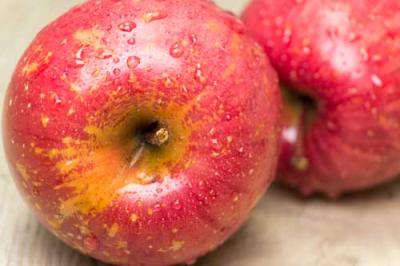 【訳あり・小玉】 サンふじ 4～5kg 特別栽培 (青森県 田村りんご農園) 産地直送