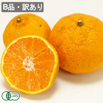 【B品・訳あり】有機 不知火(シラヌイ) 3kg 有機JAS (佐賀県 佐藤農場) 産地直送 デコポン
