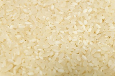 【令和4年度産】 コシヒカリ　白米 10kg×2袋 自然農法 (広島県　はやしなちゅらるふぁーむ) 産地直送