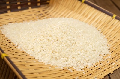 【令和4年度産】 コシヒカリ　白米 10kg×2袋 自然農法 (広島県　はやしなちゅらるふぁーむ) 産地直送