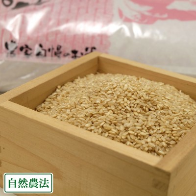 【令和4年度産】 コシヒカリ　玄米 10kg 自然農法 (広島県　はやしなちゅらるふぁーむ) 産地直送
