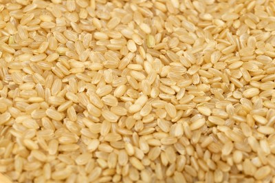 【令和4年度産】 コシヒカリ　玄米 10kg 自然農法 (広島県　はやしなちゅらるふぁーむ) 産地直送
