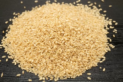 【令和4年度産】 コシヒカリ　玄米 10kg 自然農法 (広島県　はやしなちゅらるふぁーむ) 産地直送