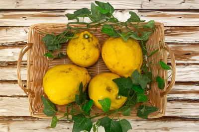 【加工用】有機レモン(璃の香) 3kg 有機JAS (佐賀県 佐藤農場株式会社) 産地直送