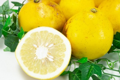 【B品】 サワーポメロ 8kg 自然農法 (鹿児島県 かんとりぃぱぁく) 産地直送