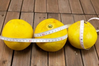 【B品】 サワーポメロ 8kg 自然農法 (鹿児島県 かんとりぃぱぁく) 産地直送