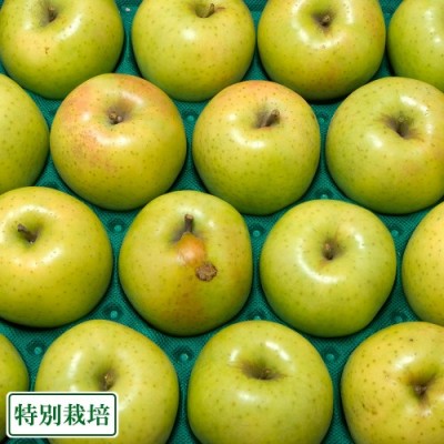 【最終セール・訳あり小玉】 王林 5kg箱 特別栽培 (青森県 阿部農園) 産地直送