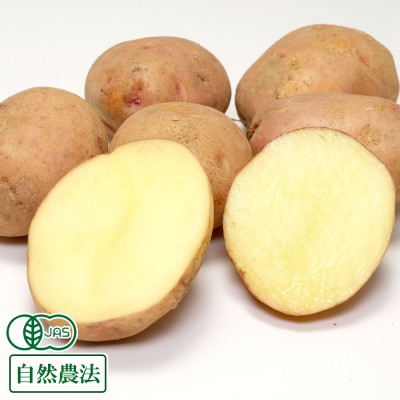 【B品・サイズ混合】 有機 さやあかね 10kg 有機JAS (北海道 はるか農園) 産地直送