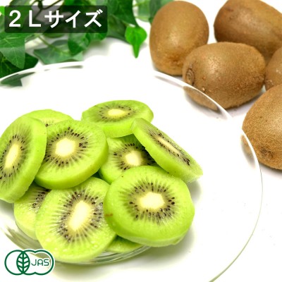 【2Lサイズ】有機キウイフルーツ 5kg 有機JAS (神奈川県 小田原有機農法研究会)より 産地直送中! キウイフルーツ