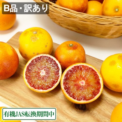 【特大セール・B品訳あり】 ブラッドオレンジ 10kg 有機JAS転換期間 (佐賀県 佐藤農場株式会社) 産地直送