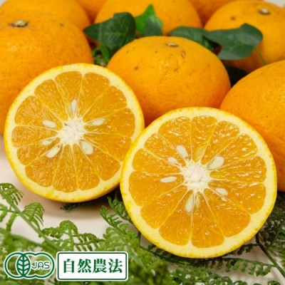 有機 甘夏 A品 5kg 有機JAS 自然農法 (香川県 谷果樹園) みかん