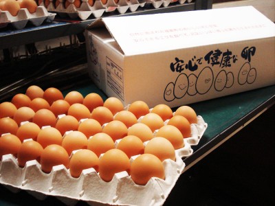 令和4年度産コシヒカリ白米5kg・平飼い有精卵40個・特製だし醤油150mlセット 自然農法米 (広島県 はやしなちゅらるふぁーむ) 産地直送