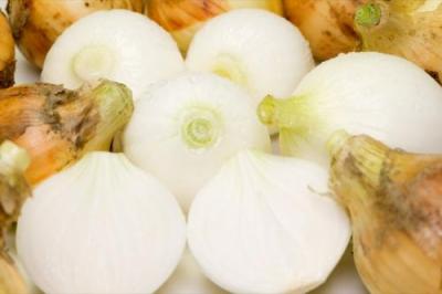 【サイズ混合】 無肥料栽培 新玉ねぎ 10kg 自然農法 (兵庫県淡路島 花岡農恵園) 産地直送