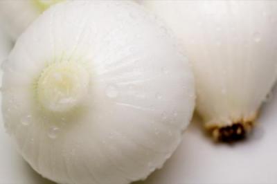 【サイズ混合】 無肥料栽培 新玉ねぎ 10kg 自然農法 (兵庫県淡路島 花岡農恵園) 産地直送