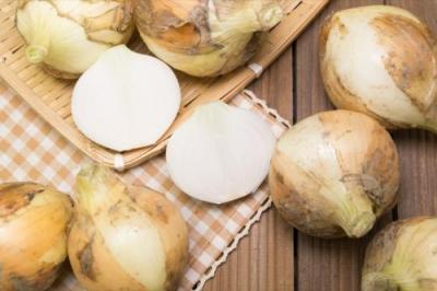 【サイズ混合】 無肥料栽培 新玉ねぎ 10kg 自然農法 (兵庫県淡路島 花岡農恵園) 産地直送