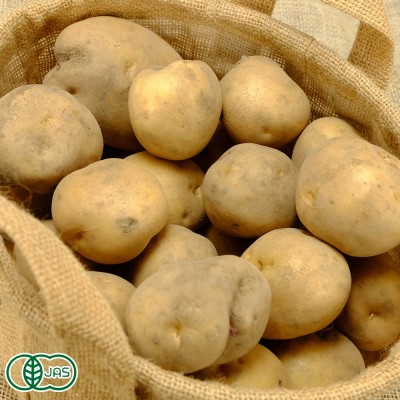 【サイズ混合】有機じゃがいも 北あかり 10kg 有機JAS (北海道 株式会社びおロジ)