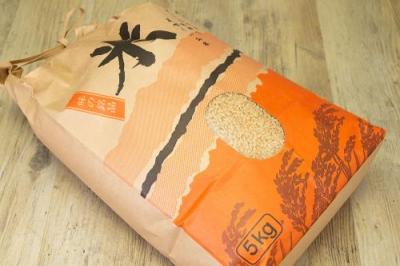 【令和4年度産・ポイント5倍】合鴨農法 花岡さんのお米(キヌ) 玄米10kg 自然農法 (兵庫県淡路島 花岡農恵園) 産地直送