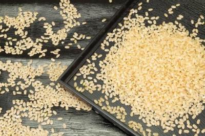 【令和4年度産・ポイント5倍】合鴨農法 花岡さんのお米(キヌ) 玄米10kg 自然農法 (兵庫県淡路島 花岡農恵園) 産地直送