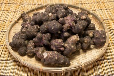 紫菊芋(土付き) 4kg 自然農法 (北海道 HJYさくら農場 食彩北海道) 産地直送