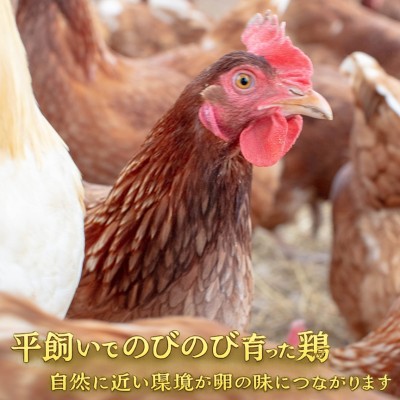 【緊急応援企画・ポイント10倍】平飼い有精卵　40個(広島県　はやしなちゅらるふぁーむ)送料無料・産地直送・健康たまご