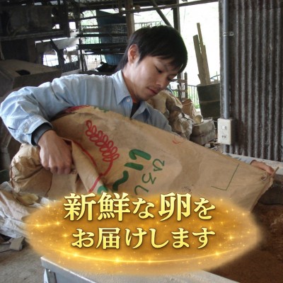 【緊急応援企画・ポイント10倍】平飼い有精卵　80個(広島県　はやしなちゅらるふぁーむ)送料無料・産地直送・健康たまご