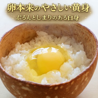 【緊急応援企画・ポイント10倍】平飼い有精卵　160個(広島県　はやしなちゅらるふぁーむ)送料無料・産地直送・健康たまご