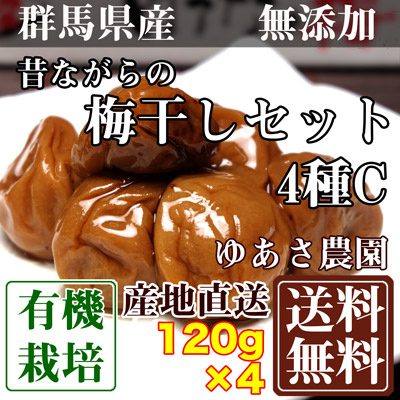 昔ながらの梅干しセット4種C 120g×4パック(群馬県 ゆあさ農園)有機栽培 梅 無添加 天然塩 使用 送料無料 産地直送
