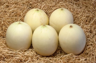 ビレンスメロン 4～6玉(約4kg) 特別栽培 (長崎県 長有研) 産地直送