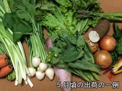 定期購入商品　アグリパックM　4週間配送(青森　アグリメイト南郷)自然農法　無農薬野菜詰め合わせパック・送料無料・産地直送