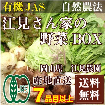 江見さん家の野菜BOX 自然農法 有機JAS (岡山県 江見農園) 産地直送
