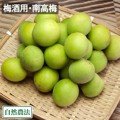 【予約・クール便】 梅酒用・南高梅(M～3Lサイズ混合) 3kg 自然農法 (広島県 万汐農園) 産地直送