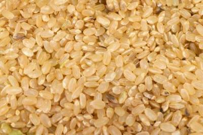 【令和3年度産米】 つがるロマン 玄米 10kg 自然農法 (青森県 小田農園) 産地直送