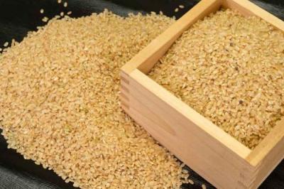 【令和3年度産米】 つがるロマン 玄米 10kg 自然農法 (青森県 小田農園) 産地直送