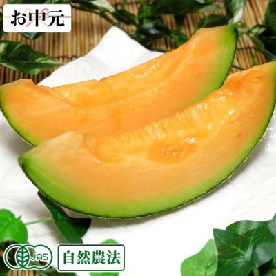 坂本正男 北海道 無農薬 自然農法 有機農産物などの産直通販 ふるさと21