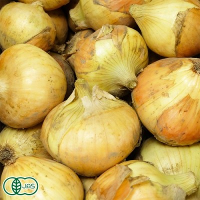 【サイズ混合】有機 早生玉ねぎ 10kg 有機JAS (山口県 めぐみ農園) 産地直送