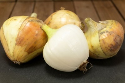 【サイズ混合】有機 早生玉ねぎ 10kg 有機JAS (山口県 めぐみ農園) 産地直送
