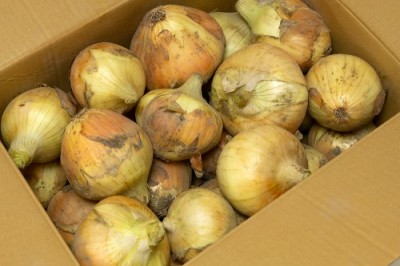 【サイズ混合】有機 早生玉ねぎ 5kg 有機JAS (山口県 めぐみ農園) 産地直送