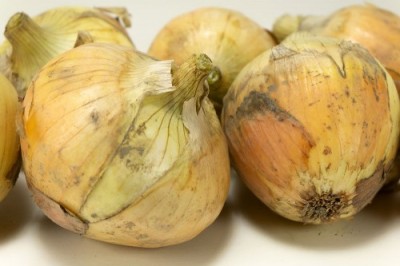 【サイズ混合】有機 早生玉ねぎ 5kg 有機JAS (山口県 めぐみ農園) 産地直送