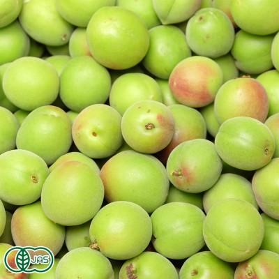有機 梅酒用梅 4kg 有機JAS (神奈川県 小田原有機農法研究会) 産地直送