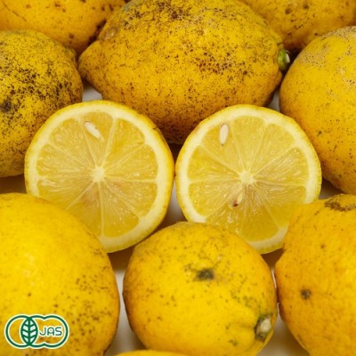 【ポイント5倍・加工用】有機レモン 5kg 有機JAS (佐賀県 佐藤農場株式会社) 産地直送